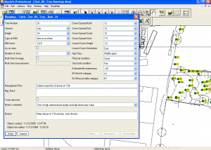 BosqMap screenshot