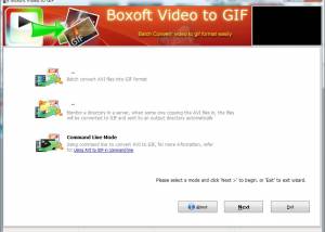 software - Boxoft Video To GIF 1.4 screenshot