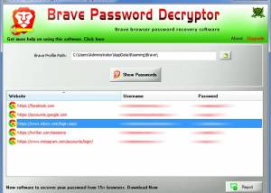 Brave Password Decryptor screenshot