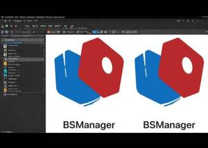 Full BSManager screenshot