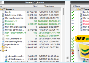 software - Bulk Rename Utility 4.0.0.2 screenshot