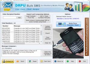 software - Bulk SMS Software for BlackBerry Phone 4.2.9.6 screenshot