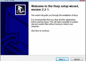 software - Burp 3.2.0 Latest screenshot
