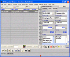 software - Business Expense Organizer 4.21 screenshot