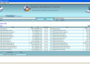 Business Intelligence Synchro screenshot