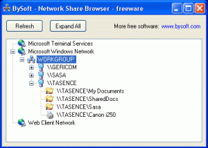 software - BySoft Network Share Browser 1.1.5.197 screenshot