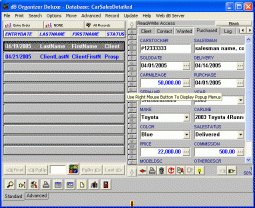 software - Car Sales Organizer Deluxe 4.21 screenshot