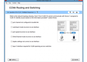 CCNA v3 Practice Test Simulator screenshot