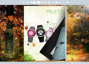 software - Charming Scenery Flip Books Templates 1.0 screenshot