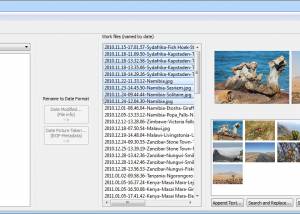 software - Chrono Namer 1.0.0 screenshot