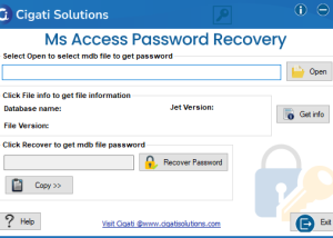 software - Cigati Access Password Recovery 22.0 screenshot