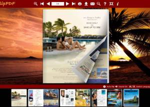 Coconut Palm Flip Book Theme screenshot