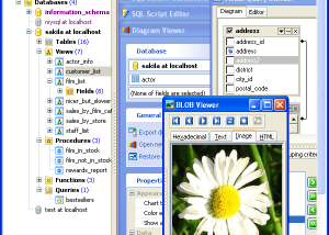 software - Code Factory for MySQL 17.4 screenshot