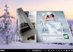 software - Cold Theme for 3D Page Flip Book 1.0 screenshot