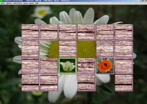 software - CompliCat Concentration 1.0 screenshot