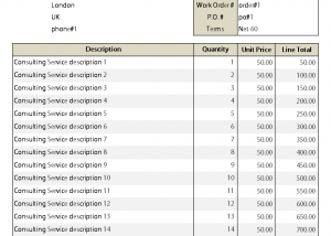 software - Consulting Invoice Template 2.30 screenshot