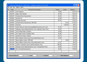 Credit Card Manager for Flash Drives screenshot