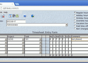 CyberMatrix Timesheets Web Enterprise screenshot