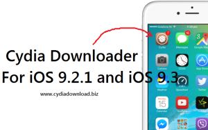 software - Cydia Downloader 9.3 screenshot