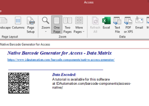 Access Data Matrix Barcode Generator screenshot