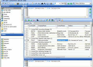 software - Database Browser 5.3.2.13 screenshot