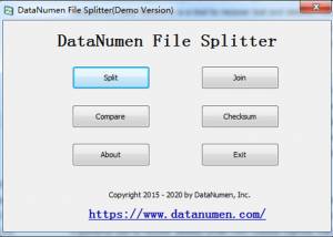 software - DataNumen File Splitter 1.2 screenshot