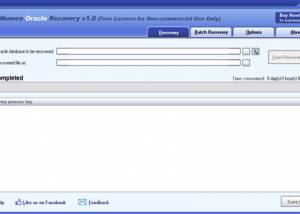 software - DataNumen Oracle Recovery 1.0 screenshot