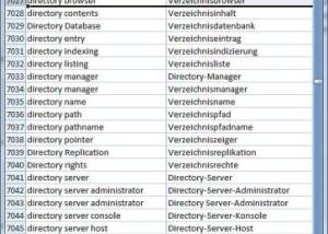 software - Dataprocessing Dictionary English German 3.0 screenshot