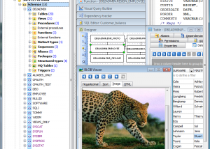 software - DB2 Maestro 13.11 screenshot