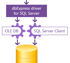 dbExpress driver for SQL Server screenshot