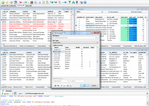 software - DBF Commander Professional 3.7.63 screenshot