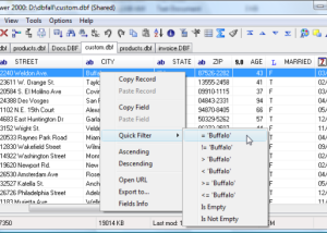 software - DBF Viewer 2000 7.59 screenshot