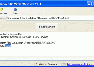 software - DBISAM Password Recovery 2.2 screenshot