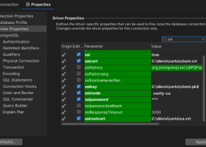 software - DbVisualizer 24.2.2 screenshot