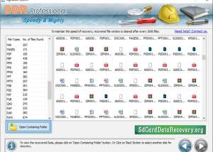 software - DDR Professional Data Recovery Software 8.6.2.6 screenshot