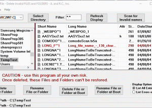 software - DelinvFile 5.05 screenshot