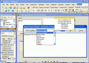 software - Delphi Spell Checker PRO 3.00 screenshot