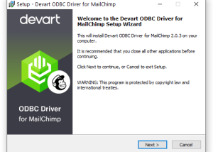 Devart ODBC Driver for MailChimp screenshot