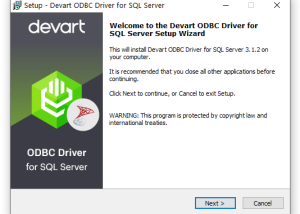 Devart ODBC Driver for SQL Server screenshot