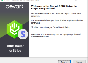 software - Stripe ODBC Driver by Devart 1.4.1 screenshot