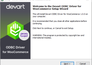 WooCommerce ODBC Driver by Devart screenshot