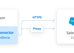 software - Salesforce Python Connector by Devart 1.1.0 screenshot