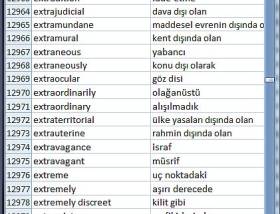 software - Dictionary Wordlist SQL, Excel, Access 3.5 screenshot