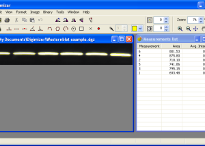 software - Digimizer 6.4.0 screenshot