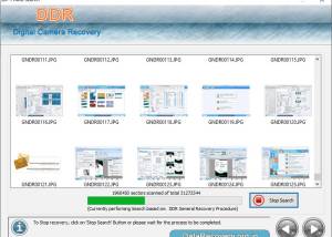 software - Digital Camera Data Recovery 5.4.1.3 screenshot