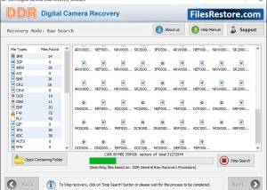 Digital Camera Pictures Restore screenshot