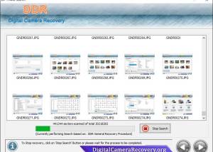 software - Digital Camera Recovery 5.2 screenshot