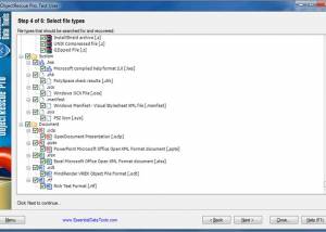 software - Digital ObjectRescue Professional 6.11 screenshot