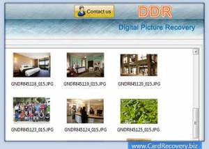 Digital Pics Recovery screenshot