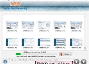 software - Digital Pictures Undelete Tool 5.3.2 screenshot